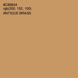 #C89864 - Antique Brass Color Image