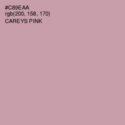 #C89EAA - Careys Pink Color Image