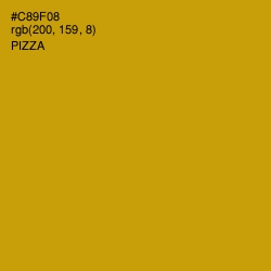 #C89F08 - Pizza Color Image