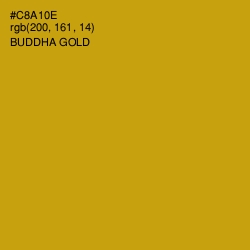 #C8A10E - Buddha Gold Color Image