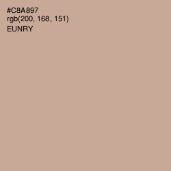 #C8A897 - Eunry Color Image