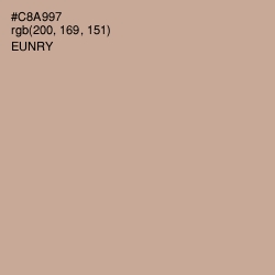 #C8A997 - Eunry Color Image