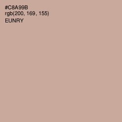 #C8A99B - Eunry Color Image