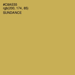 #C8AE55 - Sundance Color Image