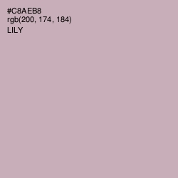 #C8AEB8 - Lily Color Image