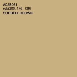 #C8B081 - Sorrell Brown Color Image