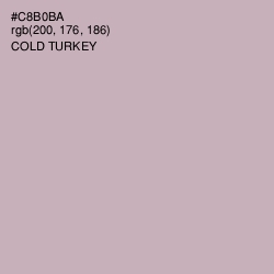 #C8B0BA - Cold Turkey Color Image
