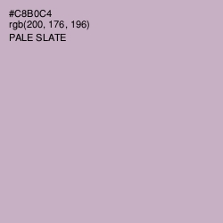#C8B0C4 - Pale Slate Color Image