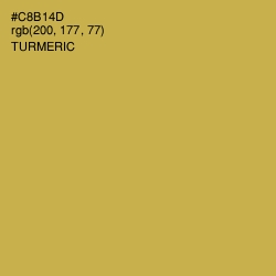 #C8B14D - Turmeric Color Image