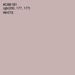#C8B1B1 - Tea Color Image