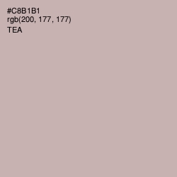 #C8B1B1 - Tea Color Image