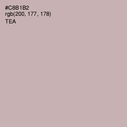 #C8B1B2 - Tea Color Image