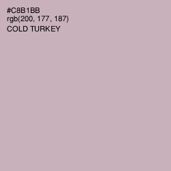 #C8B1BB - Cold Turkey Color Image