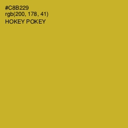 #C8B229 - Hokey Pokey Color Image