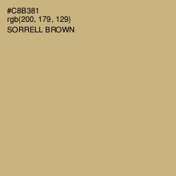 #C8B381 - Sorrell Brown Color Image