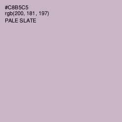 #C8B5C5 - Pale Slate Color Image