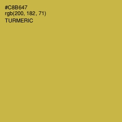 #C8B647 - Turmeric Color Image