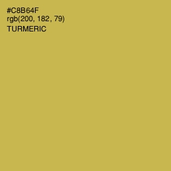 #C8B64F - Turmeric Color Image