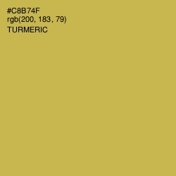 #C8B74F - Turmeric Color Image