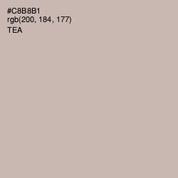 #C8B8B1 - Tea Color Image