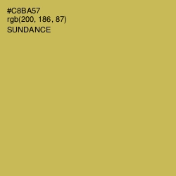 #C8BA57 - Sundance Color Image