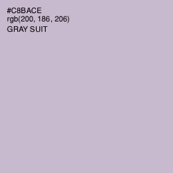 #C8BACE - Gray Suit Color Image