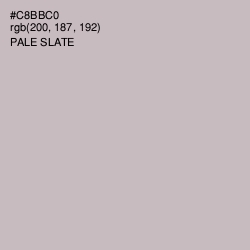 #C8BBC0 - Pale Slate Color Image