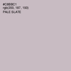 #C8BBC1 - Pale Slate Color Image