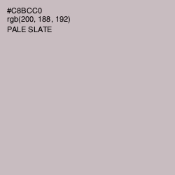 #C8BCC0 - Pale Slate Color Image