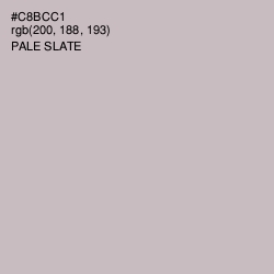 #C8BCC1 - Pale Slate Color Image