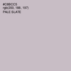 #C8BCC5 - Pale Slate Color Image