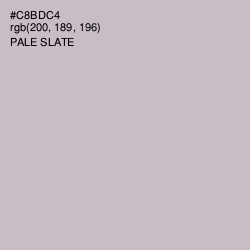 #C8BDC4 - Pale Slate Color Image