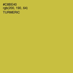 #C8BE40 - Turmeric Color Image