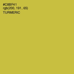 #C8BF41 - Turmeric Color Image