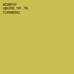 #C8BF4F - Turmeric Color Image