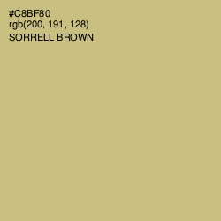 #C8BF80 - Sorrell Brown Color Image