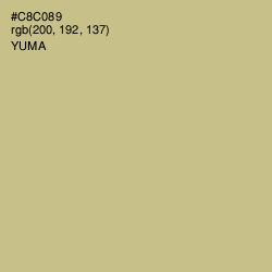 #C8C089 - Yuma Color Image