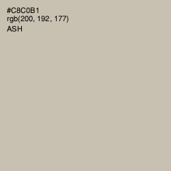 #C8C0B1 - Ash Color Image