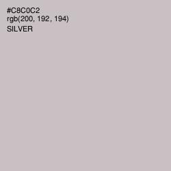 #C8C0C2 - Silver Color Image