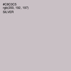 #C8C0C5 - Silver Color Image