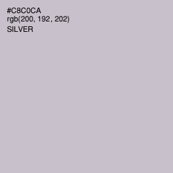 #C8C0CA - Silver Color Image