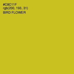 #C8C11F - Bird Flower Color Image