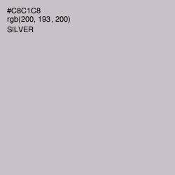 #C8C1C8 - Silver Color Image