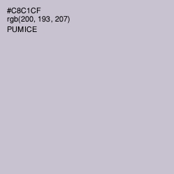 #C8C1CF - Pumice Color Image