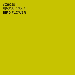 #C8C301 - Bird Flower Color Image