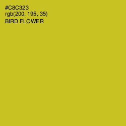 #C8C323 - Bird Flower Color Image