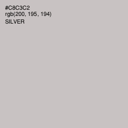 #C8C3C2 - Silver Color Image