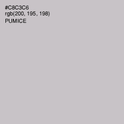 #C8C3C6 - Pumice Color Image