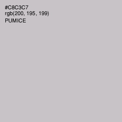 #C8C3C7 - Pumice Color Image