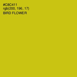 #C8C411 - Bird Flower Color Image